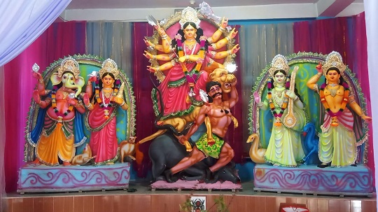 image-here