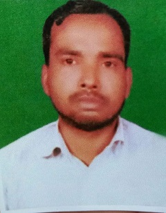 image-here