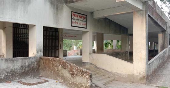 image-here