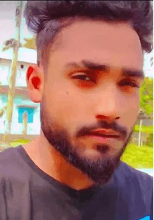 image-here