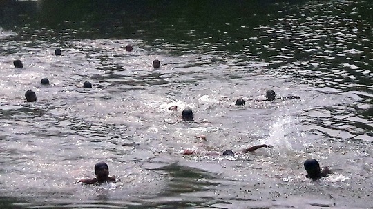 image-here