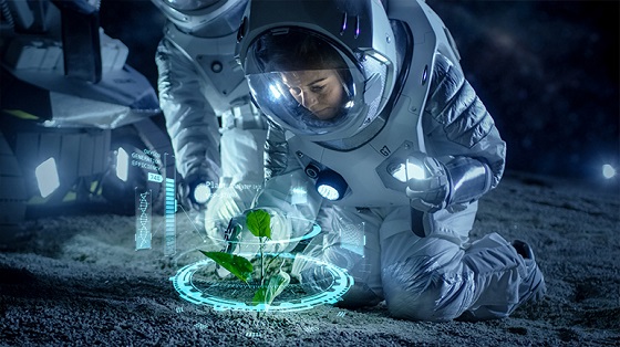 image-here