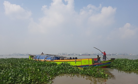 image-here