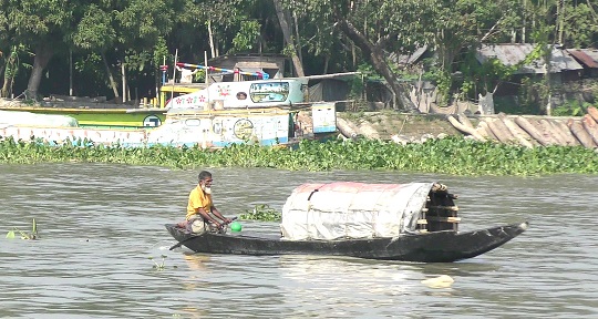 image-here