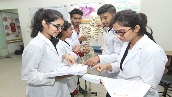 image-here