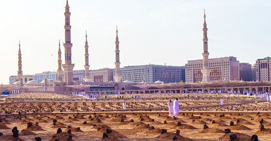 image-here