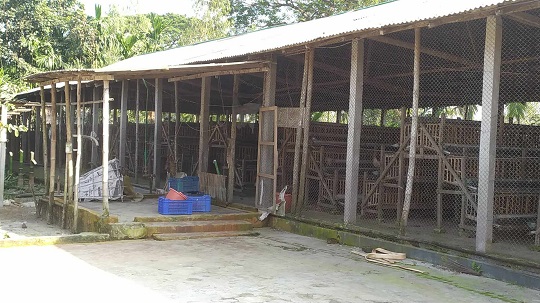 image-here