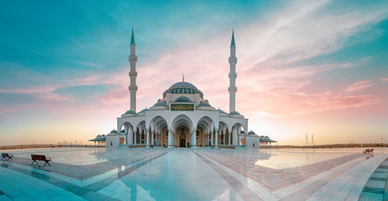image-here