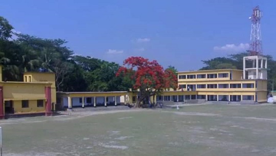image-here
