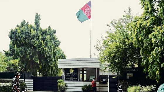 image-here
