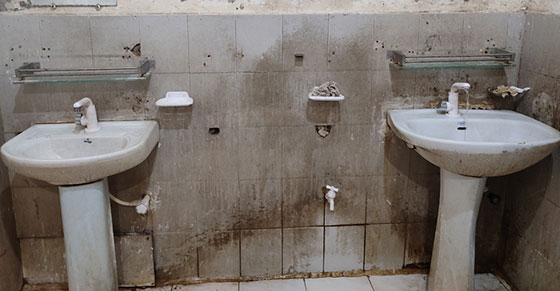 image-here
