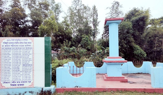 image-here