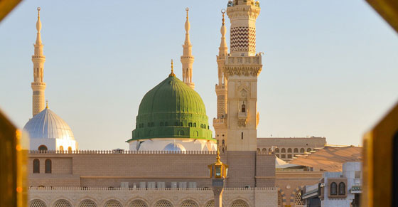 image-here