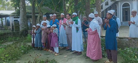 image-here