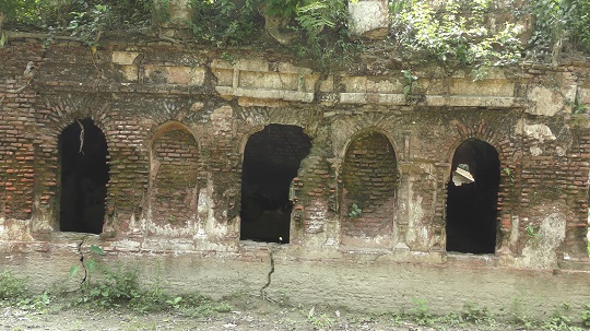 image-here