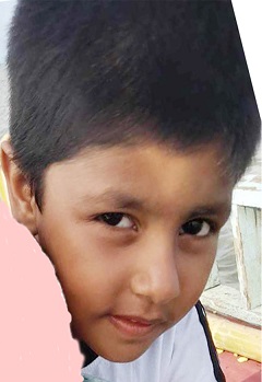 image-here