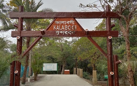 image-here