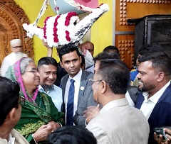 image-here