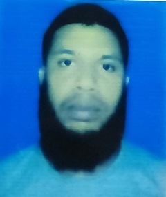 image-here