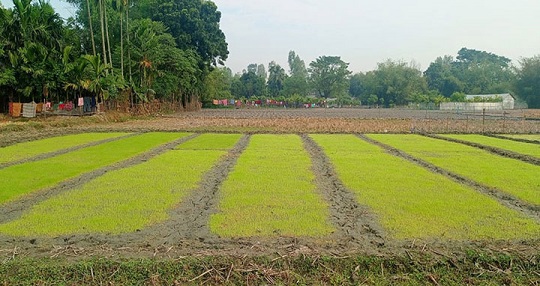 image-here