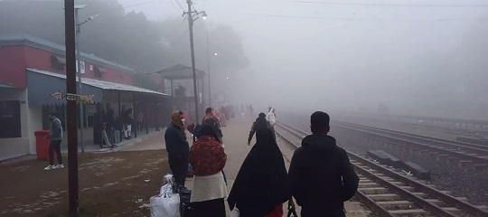 image-here