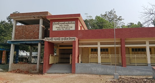 image-here