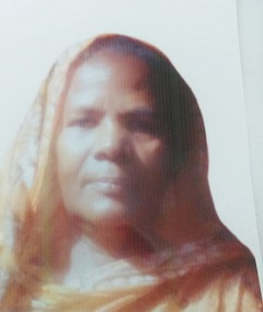 image-here