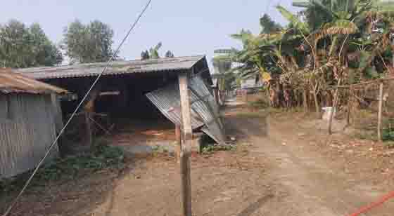 image-here
