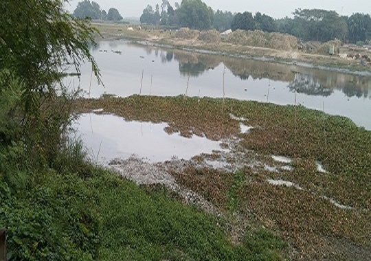 image-here