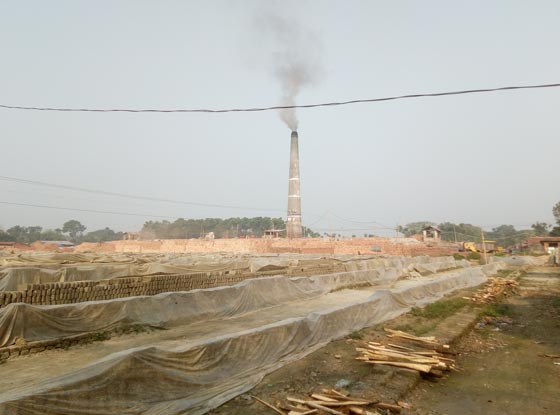 image-here