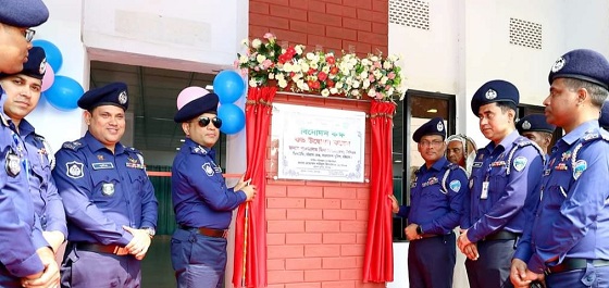 image-here