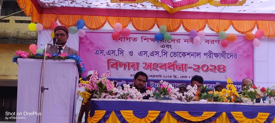 image-here