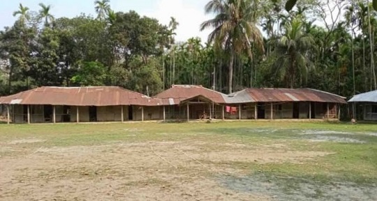 image-here