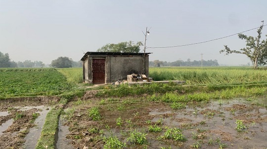 image-here