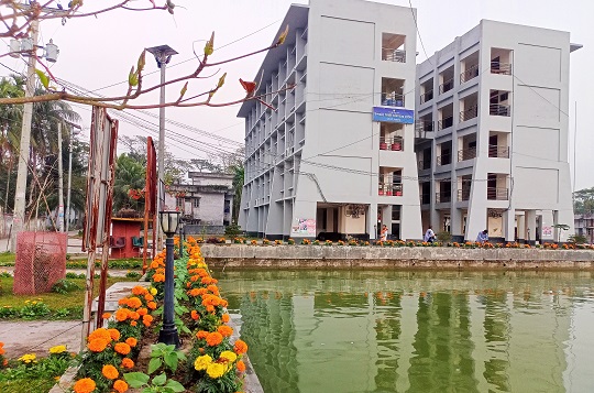 image-here