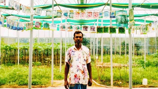 image-here