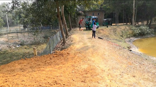 image-here