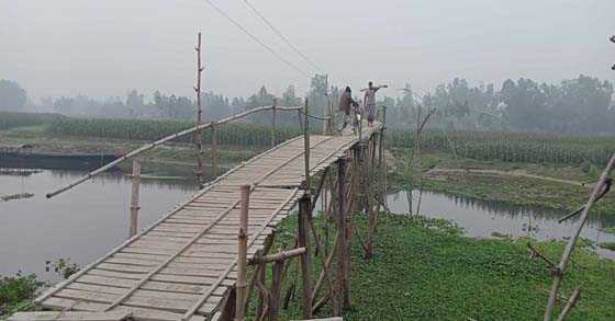 image-here