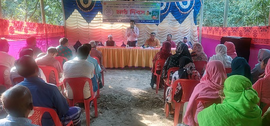 image-here