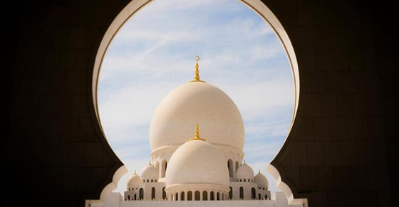 image-here