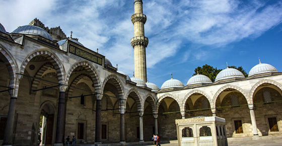 image-here