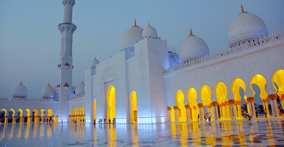 image-here