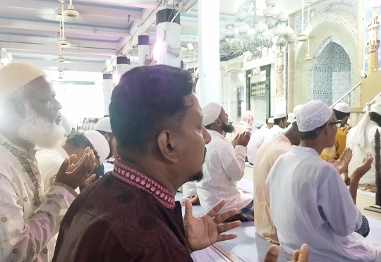 image-here