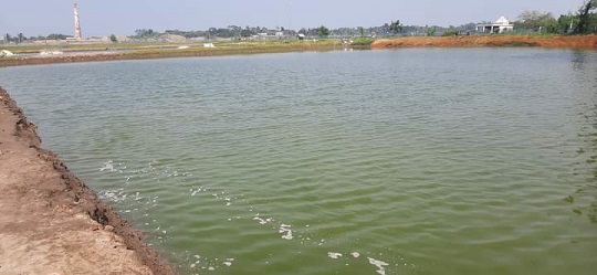 image-here