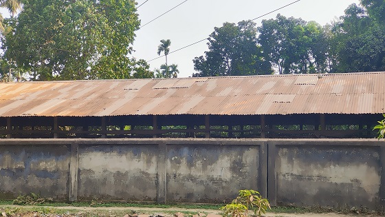 image-here