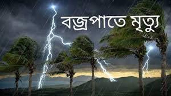 image-here