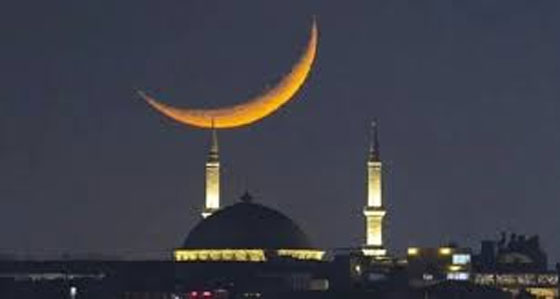 image-here