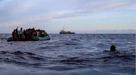 image-here