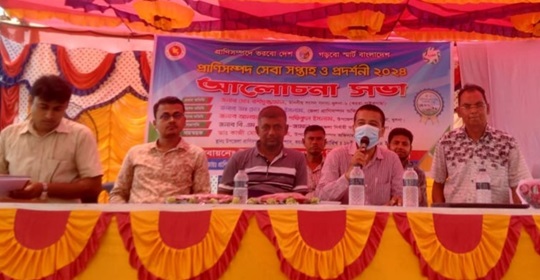 image-here