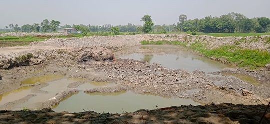 image-here